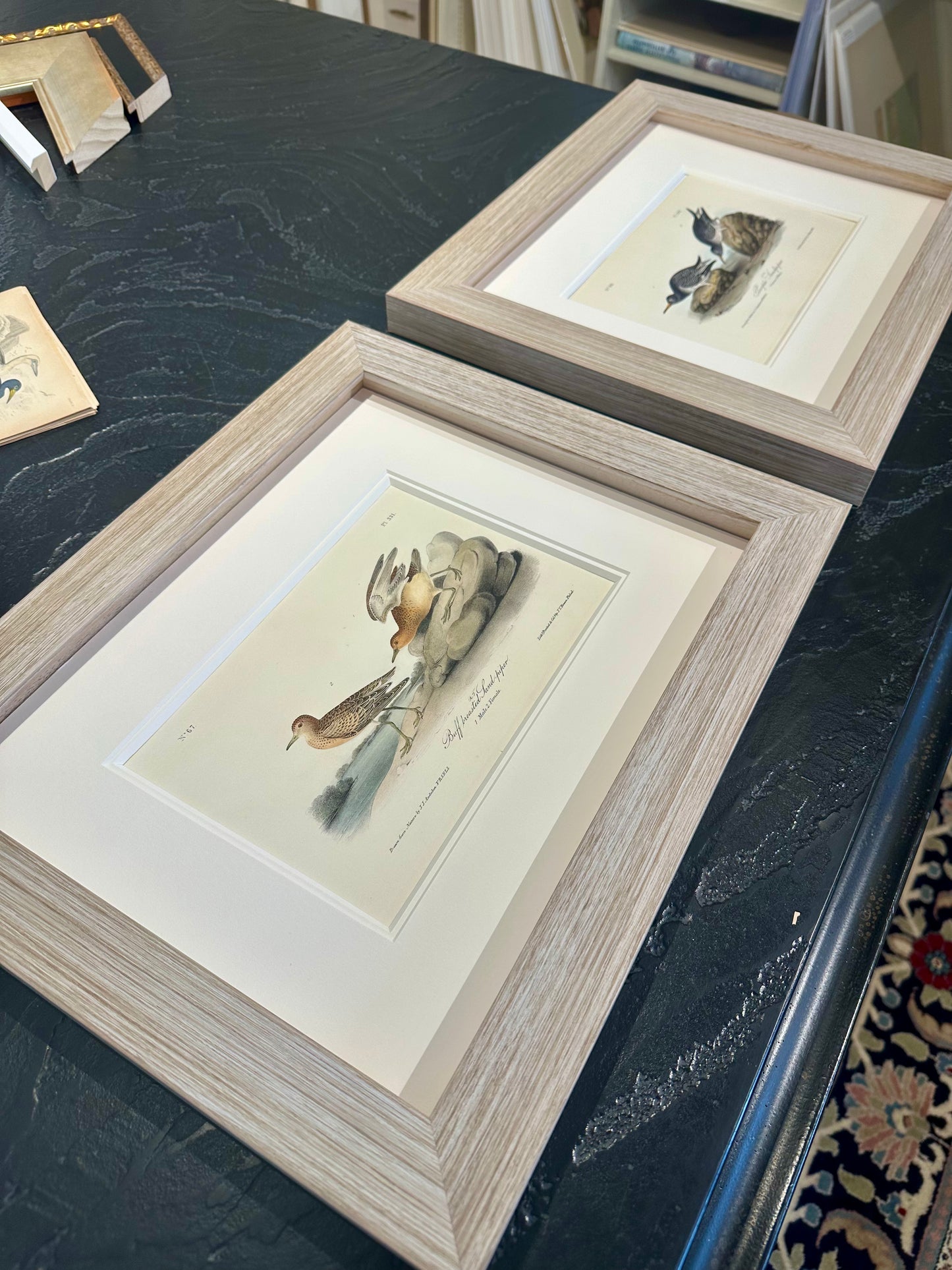 Audubon Buff-Breasted & Purple Sandpipers, Original engravings, Framed S/2