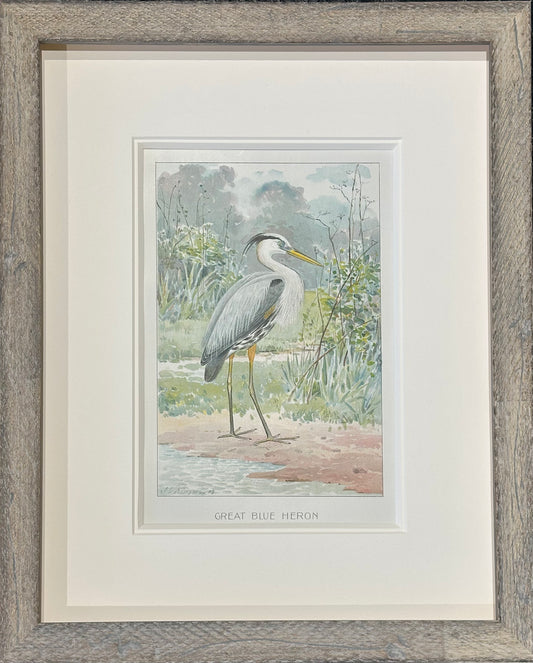 Heron by Ridgeway, 1890