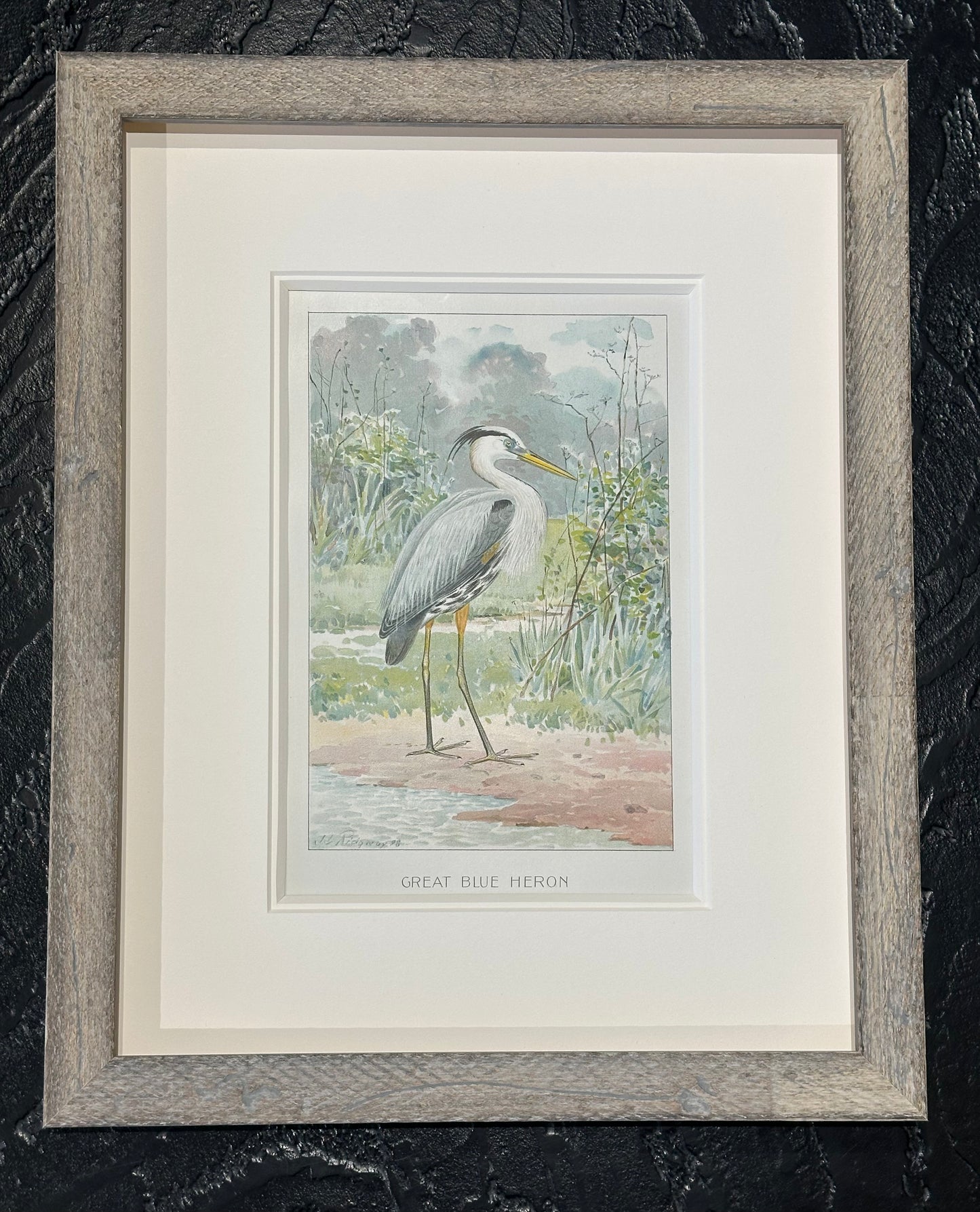 Heron by Ridgeway, 1890