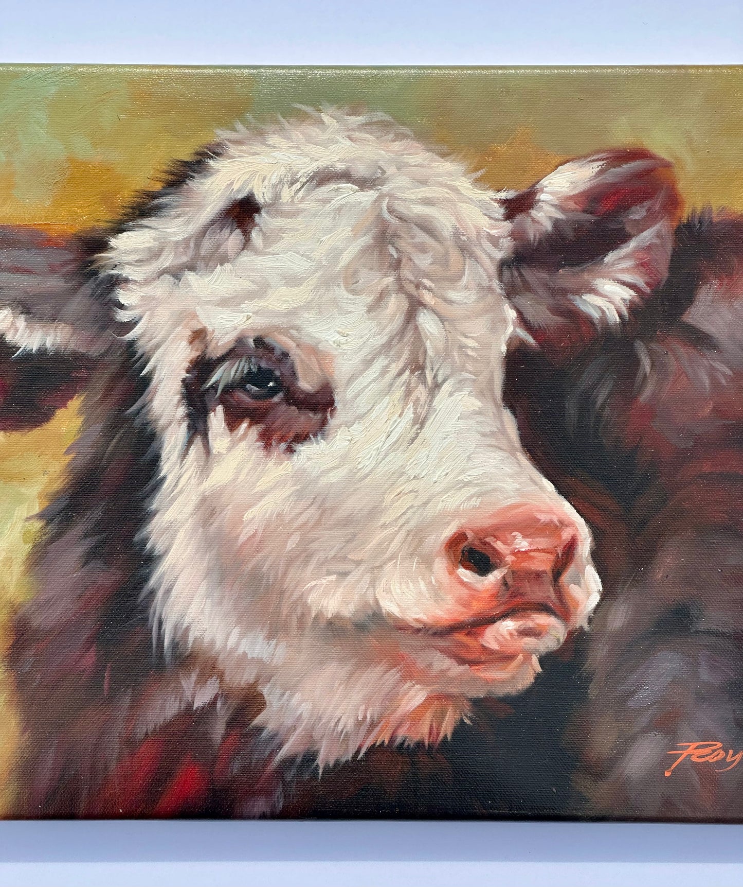 Handsome Cow, Original oil on Canvas, Unframed