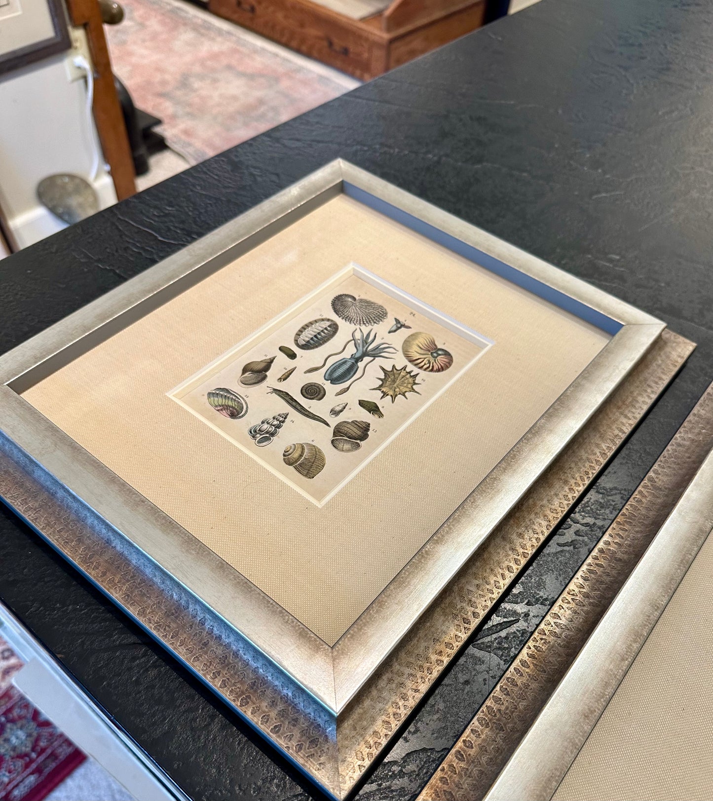 Shell & Crab prints, framed