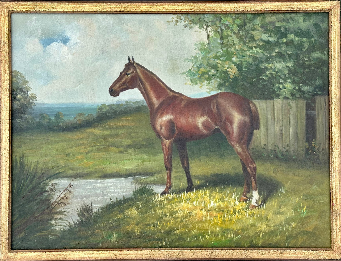 Horse Portrait, Framed